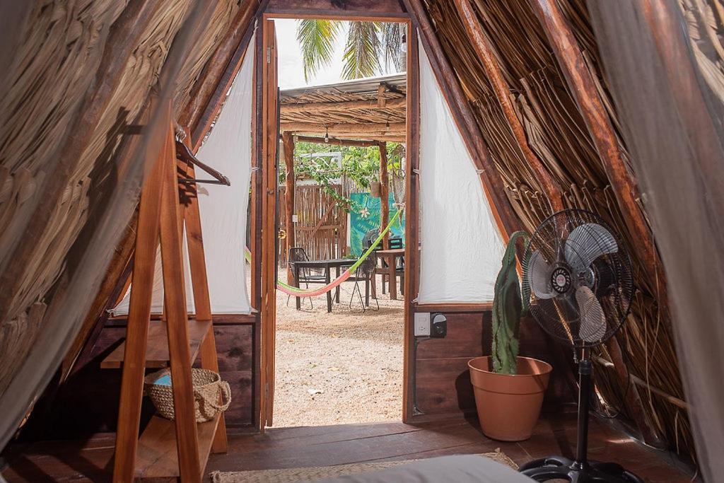 Mapache & Pensión Isla Holbox