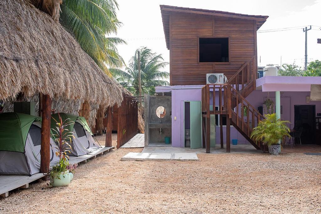 Mapache & * Isla Holbox