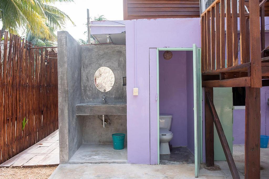 Mapache & Isla Holbox
