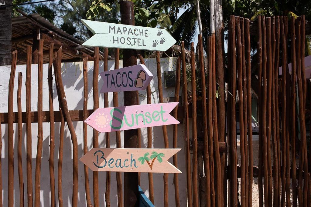 Mapache & Pensión Isla Holbox