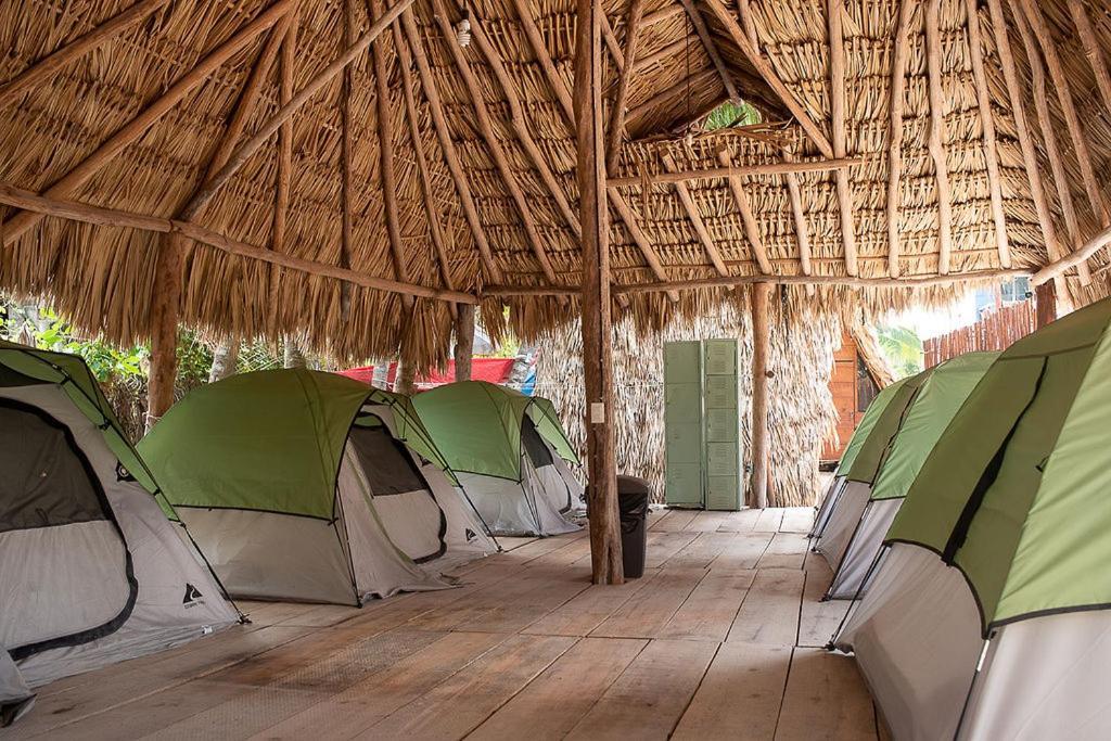 Mapache & Isla Holbox