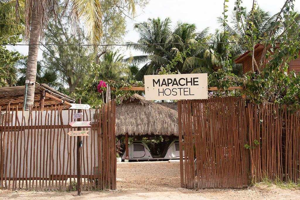 Mapache & *