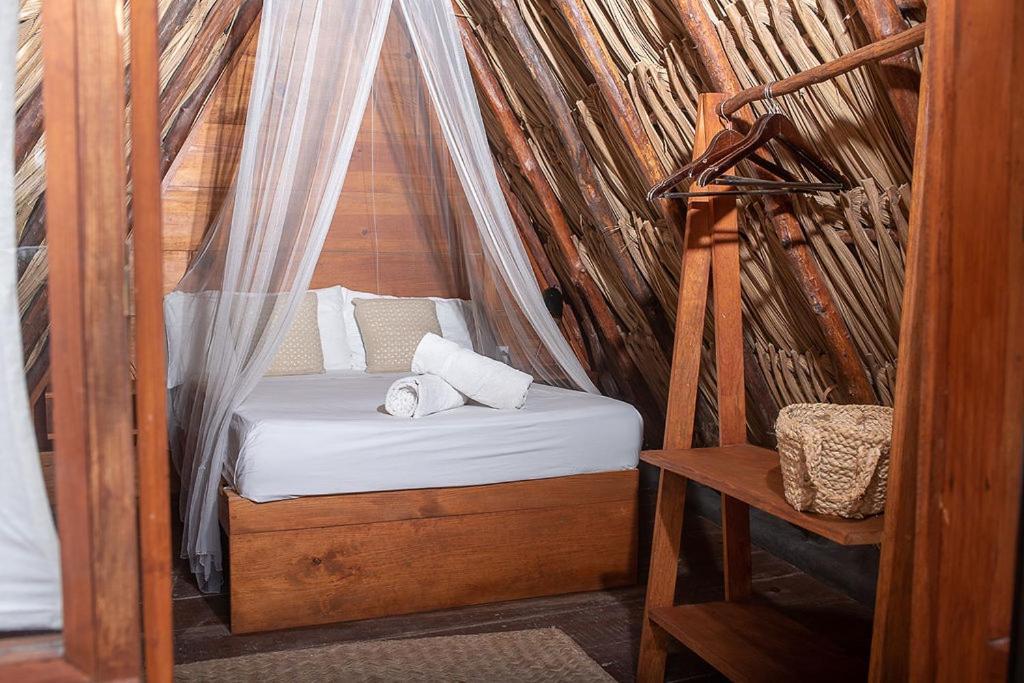 Mapache & Isla Holbox