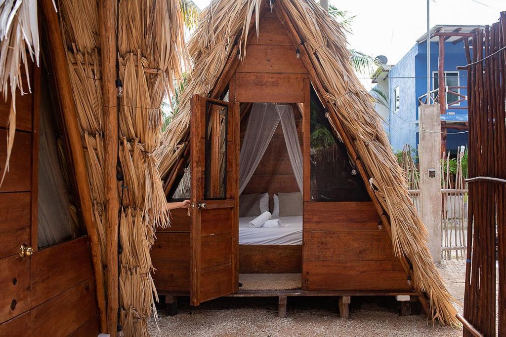 Pensión Mapache & Isla Holbox