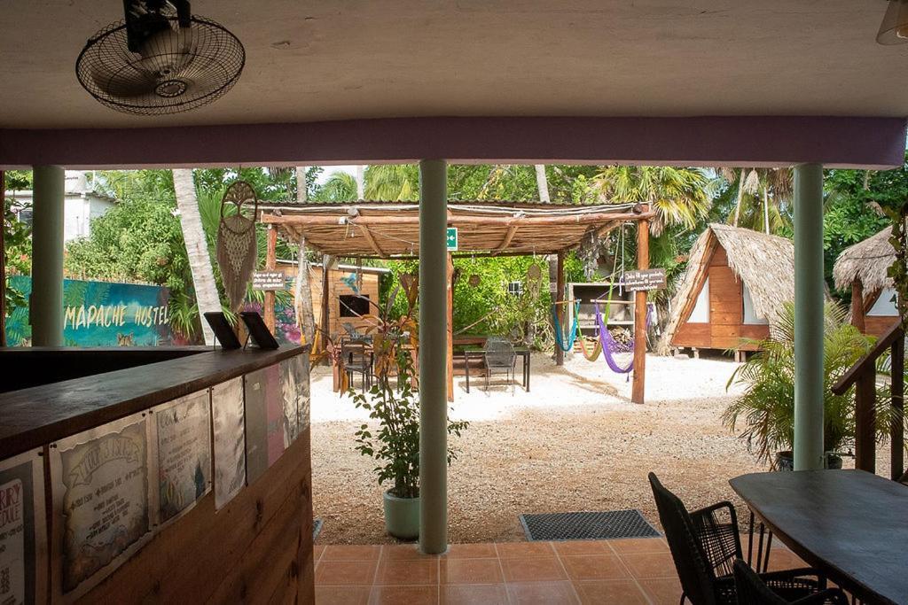 Mapache & Isla Holbox